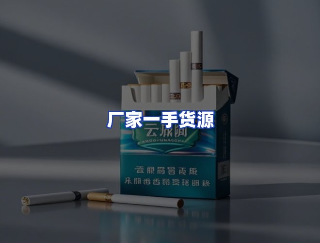 专业团队